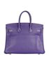 Birkin 25 in Veau Togo Iris, back view